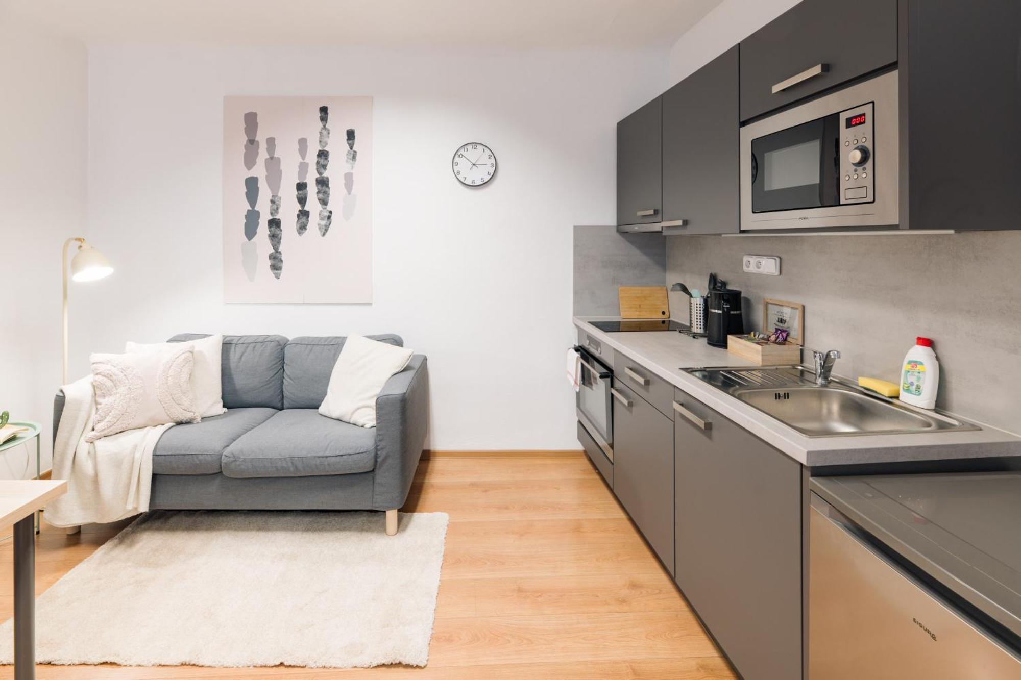 ברנו 7 Nights Apartments Dominikanske N. מראה חיצוני תמונה