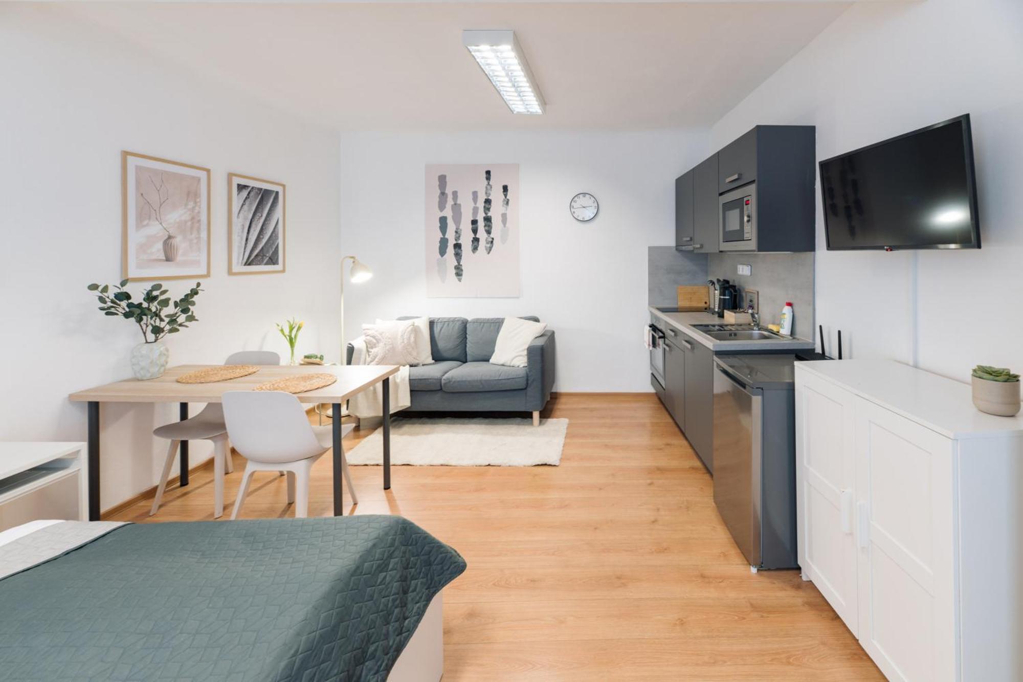 ברנו 7 Nights Apartments Dominikanske N. מראה חיצוני תמונה